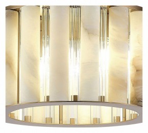 Накладной светильник ST-Luce Delight SL1516.302.06 в Кудымкаре - kudymkar.mebel24.online | фото 4