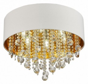 Накладной светильник ST-Luce Lacchia SL1350.502.06 в Кудымкаре - kudymkar.mebel24.online | фото 3