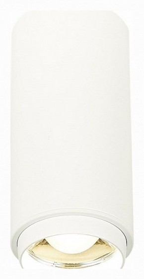 Накладной светильник ST-Luce Zoom ST600.542.10 в Кудымкаре - kudymkar.mebel24.online | фото 2