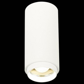 Накладной светильник ST-Luce Zoom ST600.542.10 в Кудымкаре - kudymkar.mebel24.online | фото 3
