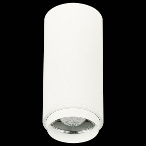 Накладной светильник ST-Luce Zoom ST600.542.10 в Кудымкаре - kudymkar.mebel24.online | фото 4