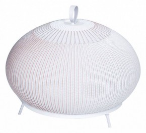 Настольная лампа декоративная Divinare Firefly 1808/33 TL-50 в Кудымкаре - kudymkar.mebel24.online | фото