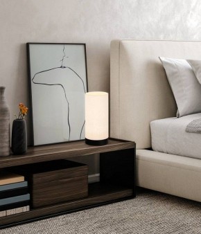 Настольная лампа декоративная Eglo Feniglia 900861 в Кудымкаре - kudymkar.mebel24.online | фото 2