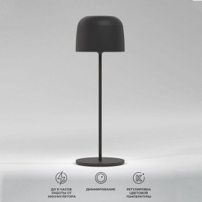 Настольная лампа декоративная Elektrostandard Bitty a069002 в Кудымкаре - kudymkar.mebel24.online | фото 2