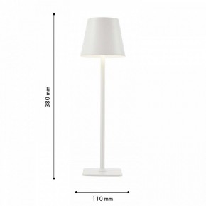 Настольная лампа декоративная F-promo Pyari 4614-1T в Кудымкаре - kudymkar.mebel24.online | фото 3