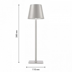 Настольная лампа декоративная F-promo Pyari 4617-1T в Кудымкаре - kudymkar.mebel24.online | фото 3