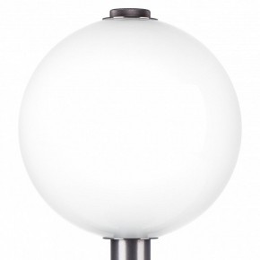 Настольная лампа декоративная Lightstar Colore 805916 в Кудымкаре - kudymkar.mebel24.online | фото 6