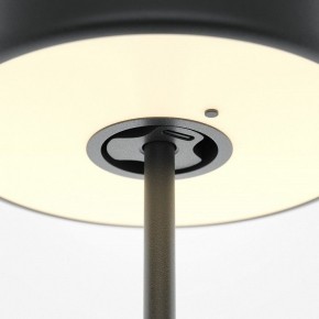 Настольная лампа декоративная Maytoni AI Collaboration MOD229TL-L3B3K2 в Кудымкаре - kudymkar.mebel24.online | фото 5
