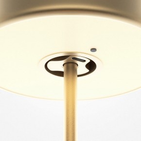 Настольная лампа декоративная Maytoni AI Collaboration MOD229TL-L3G3K2 в Кудымкаре - kudymkar.mebel24.online | фото 5