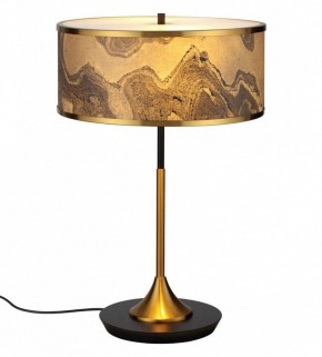 Настольная лампа декоративная Odeon Light Bergi 5064/2T в Кудымкаре - kudymkar.mebel24.online | фото
