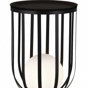 Настольная лампа декоративная ST-Luce Nordic SL6129.404.01 в Кудымкаре - kudymkar.mebel24.online | фото 5