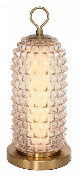 Настольная лампа декоративная ST-Luce SAGUARO SL6144.304.01 в Кудымкаре - kudymkar.mebel24.online | фото 2