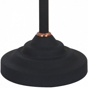 Настольная лампа офисная Arte Lamp Braccio A2054LT-1BK в Кудымкаре - kudymkar.mebel24.online | фото 4