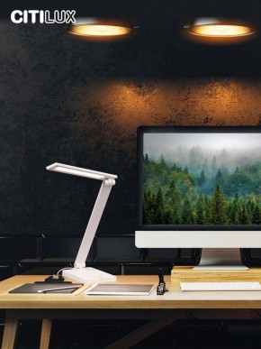 Настольная лампа офисная Citilux Ньютон CL803080 в Кудымкаре - kudymkar.mebel24.online | фото 10
