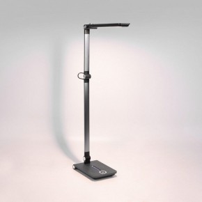 Настольная лампа офисная Elektrostandard Great a065290 в Кудымкаре - kudymkar.mebel24.online | фото 3