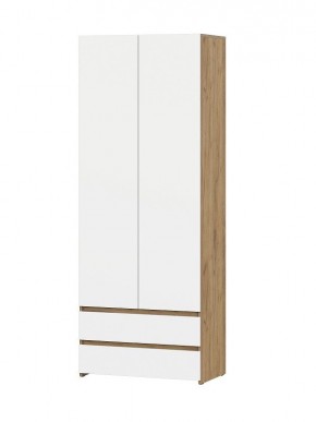 НЕКСТ 1 Шкаф двухстворчатый с ящиками в Кудымкаре - kudymkar.mebel24.online | фото