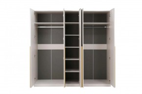 НИКОЛЬ 25 Шкаф 5-ти створчатый в Кудымкаре - kudymkar.mebel24.online | фото 3
