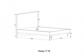 НИЛЬС - 7.16 Кровать с ортопедом 1600 в Кудымкаре - kudymkar.mebel24.online | фото 2