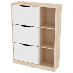 Обувница W38 (ДСС-Белый) в Кудымкаре - kudymkar.mebel24.online | фото