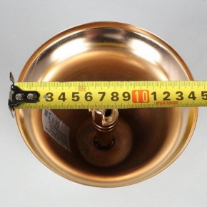 Подвесная люстра Aployt Alessio APL.858.03.31 в Кудымкаре - kudymkar.mebel24.online | фото 8