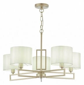 Подвесная люстра EVOLUCE Danae SLE105803-05 в Кудымкаре - kudymkar.mebel24.online | фото 2