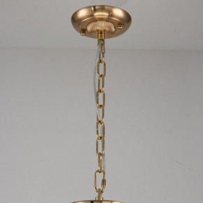 Подвесная люстра Favourite Rocca 2689-9P в Кудымкаре - kudymkar.mebel24.online | фото 2