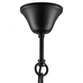Подвесная люстра Lightstar Cero 731247 в Кудымкаре - kudymkar.mebel24.online | фото 9