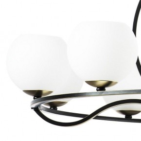 Подвесная люстра Lightstar Enna 762117 в Кудымкаре - kudymkar.mebel24.online | фото 4
