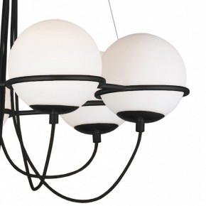 Подвесная люстра Lightstar Globo 803267 в Кудымкаре - kudymkar.mebel24.online | фото 5
