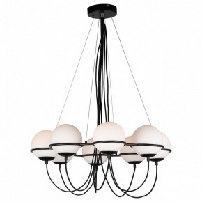 Подвесная люстра Lightstar Globo 803287 в Кудымкаре - kudymkar.mebel24.online | фото 3