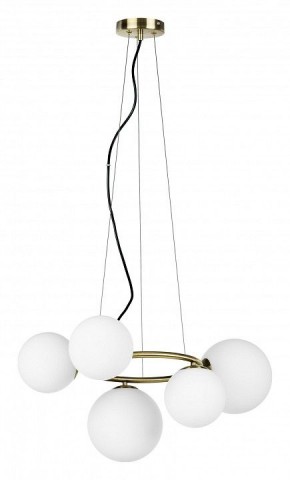 Подвесная люстра Lightstar Globo 815051 в Кудымкаре - kudymkar.mebel24.online | фото 2