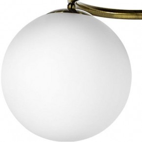 Подвесная люстра Lightstar Globo 815091 в Кудымкаре - kudymkar.mebel24.online | фото 3