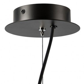 Подвесная люстра Lightstar Ragno 733247 в Кудымкаре - kudymkar.mebel24.online | фото 9