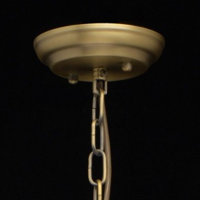 Подвесная люстра MW-Light Альгеро 3 285010703 в Кудымкаре - kudymkar.mebel24.online | фото 14