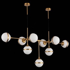 Подвесная люстра ST-Luce Arbe SL1157.303.09 в Кудымкаре - kudymkar.mebel24.online | фото 4