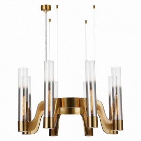 Подвесная люстра ST-Luce Ettore SL1235.303.08 в Кудымкаре - kudymkar.mebel24.online | фото 3