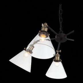 Подвесная люстра ST-Luce Evoluto SL237.413.05 в Кудымкаре - kudymkar.mebel24.online | фото 7