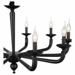 Подвесная люстра ST-Luce SL1114 SL1114.403.10 в Кудымкаре - kudymkar.mebel24.online | фото 4