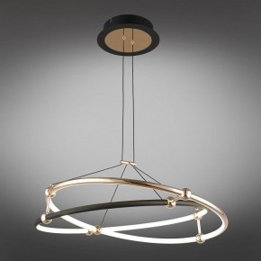 Подвесной светильник Aployt Diana APL.034.03.40 в Кудымкаре - kudymkar.mebel24.online | фото 11