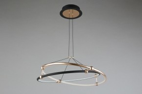 Подвесной светильник Aployt Diana APL.034.03.40 в Кудымкаре - kudymkar.mebel24.online | фото 6