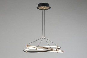Подвесной светильник Aployt Diana APL.034.03.40 в Кудымкаре - kudymkar.mebel24.online | фото 7