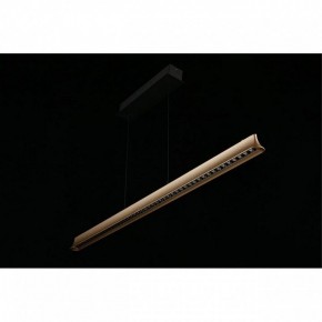 Подвесной светильник Aployt Gercia APL.786.03.38 в Кудымкаре - kudymkar.mebel24.online | фото 11