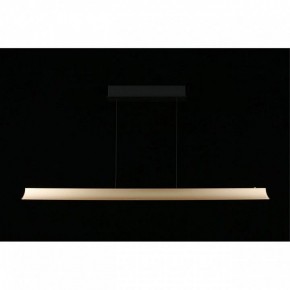Подвесной светильник Aployt Gercia APL.786.03.38 в Кудымкаре - kudymkar.mebel24.online | фото 7