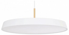Подвесной светильник Arlight ELEGANT 033924(1) в Кудымкаре - kudymkar.mebel24.online | фото