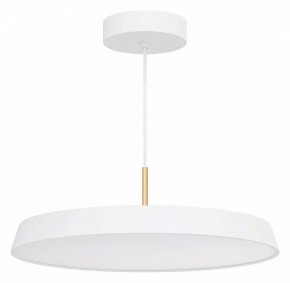 Подвесной светильник Arlight ELEGANT 033924(1) в Кудымкаре - kudymkar.mebel24.online | фото 2