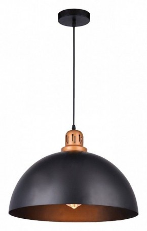 Подвесной светильник Arte Lamp Eurica A4249SP-1BK в Кудымкаре - kudymkar.mebel24.online | фото 2