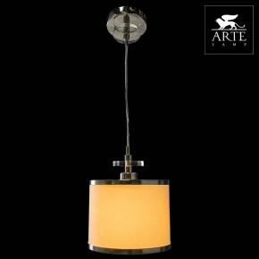 Подвесной светильник Arte Lamp Furore A3990SP-1CC в Кудымкаре - kudymkar.mebel24.online | фото 3