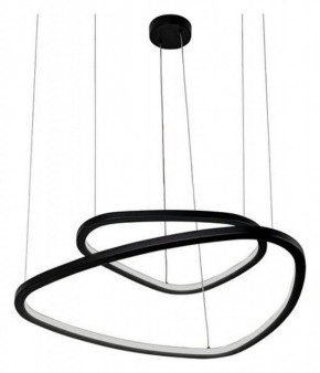 Подвесной светильник Arte Lamp Madison A2194SP-2BK в Кудымкаре - kudymkar.mebel24.online | фото 3