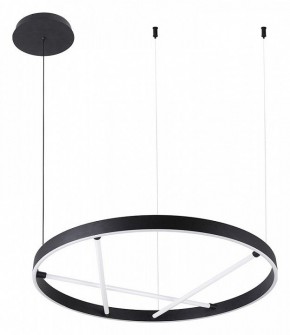 Подвесной светильник Arte Lamp Ricco A1874SP-32BK в Кудымкаре - kudymkar.mebel24.online | фото 2