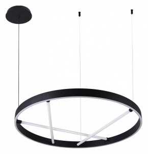 Подвесной светильник Arte Lamp Ricco A1874SP-45BK в Кудымкаре - kudymkar.mebel24.online | фото 2